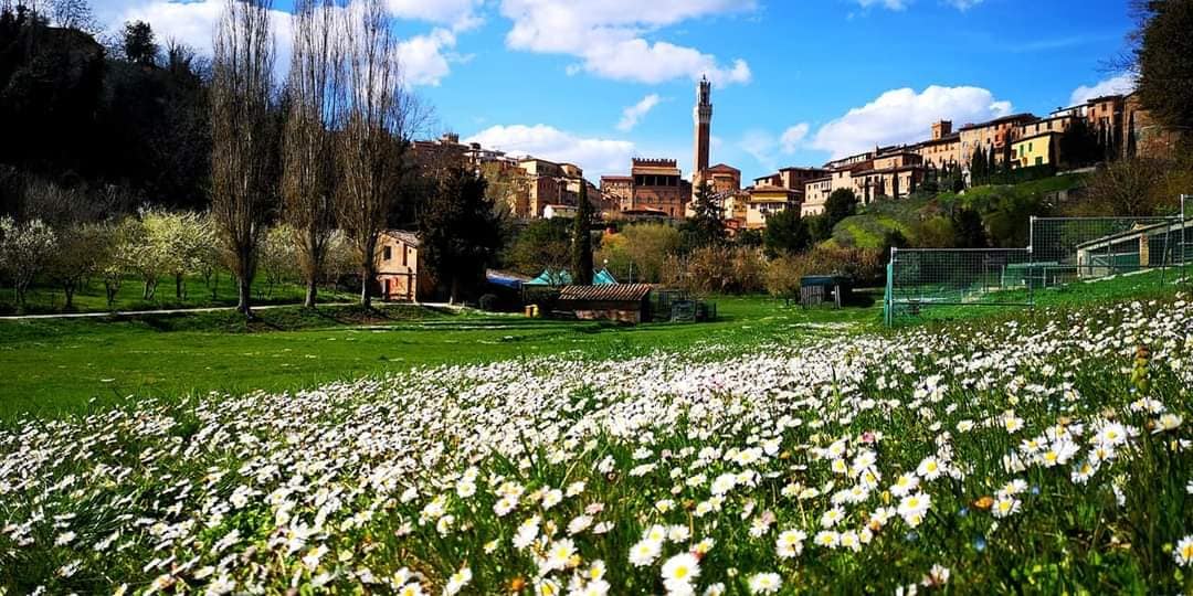 All’Orto de’ Pecci: il “risto-sociale” che si prepara alla Pasqua