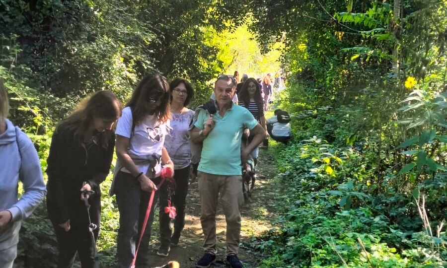 Passeggiata a 6 zampe: a Colle Val d’Elsa animali e padroni