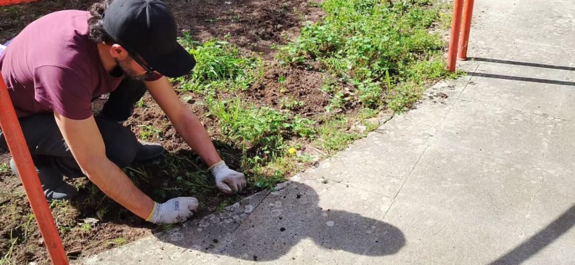 Piazza Tolomei rigenerata: domani volontari a lavoro