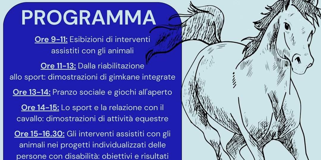 Bollicine in festa: domenica il saggio di equitazione