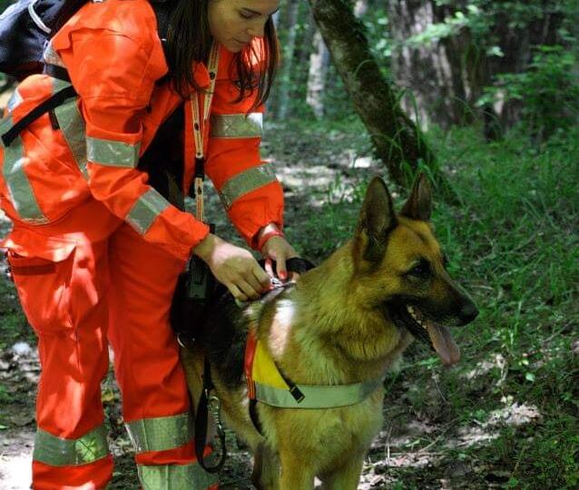 “Brooke cane speciale ci ha lasciati a 15 anni: mi faceva sentire al sicuro”