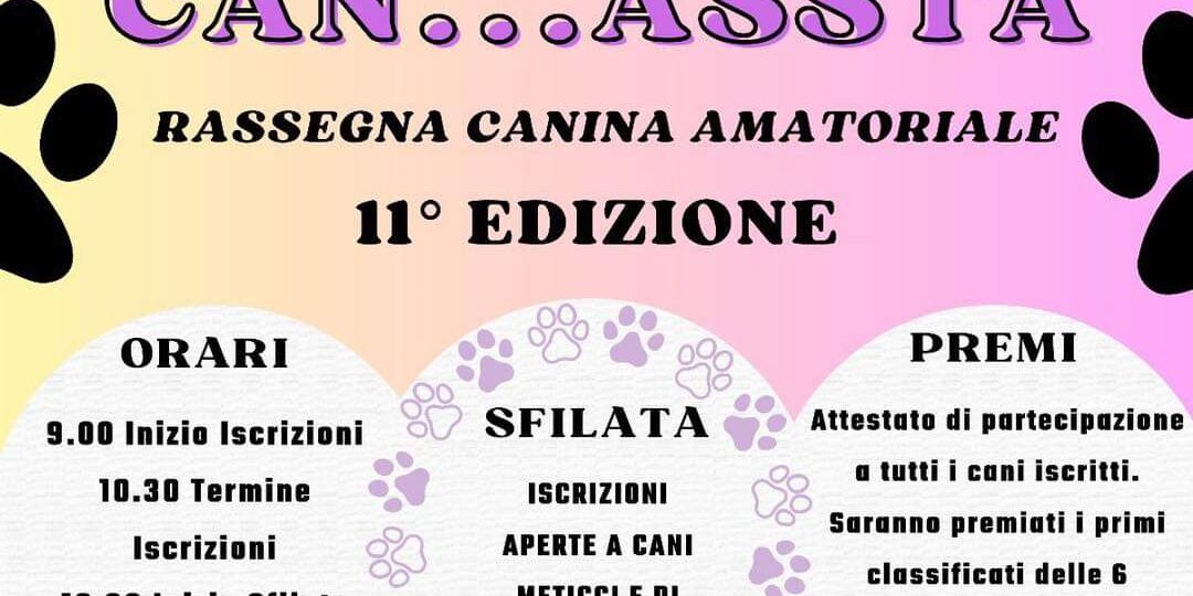 Fido sfila a Siena: ecco come fare partecipare il vostro amico a 4 zampe