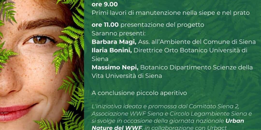 “Siepe e prato per il quartiere”: volontari protagonisti a San Miniato