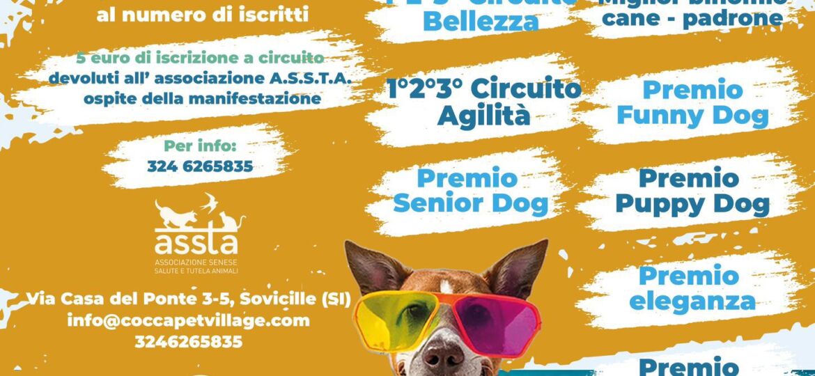 Party di fine estate: bellezza e agilità per i cani meno fortunati