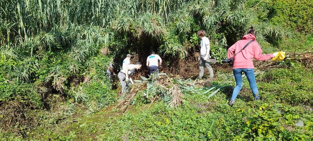 Una fonte di Siena  “rivede la luce” grazie ai volontari