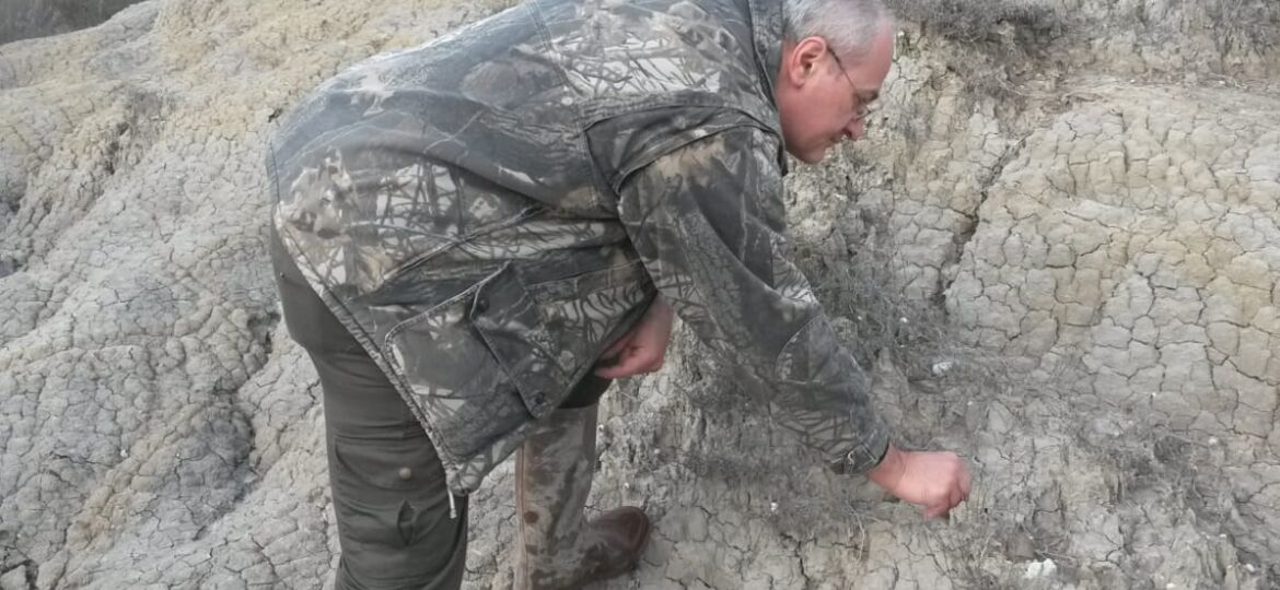 Il nonno senese che caccia fossili: “a Siena c’era il mare”