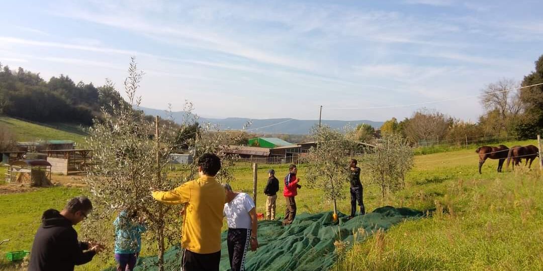 Olio in memoria di nonno Edo: le Bollicine celebrano il ricordo